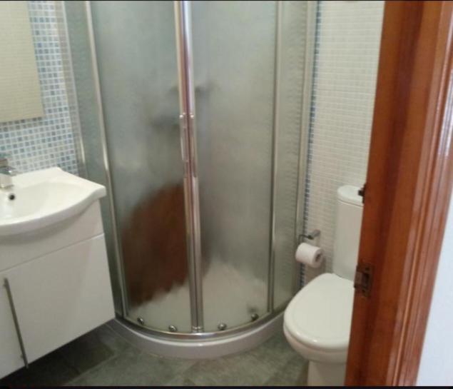 Apartamento En La Playa De San Jose-Sjjc Pokój zdjęcie